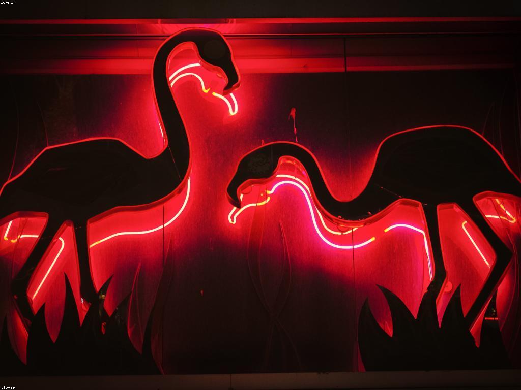 យល់ពីវប្បធម៌កាស៊ីណូ